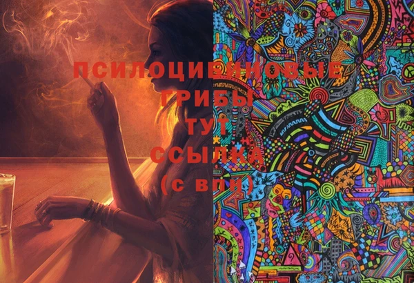 эйфоретик Липки